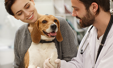 Farmacotécnica Veterinária Farmacotécnica Veterinária