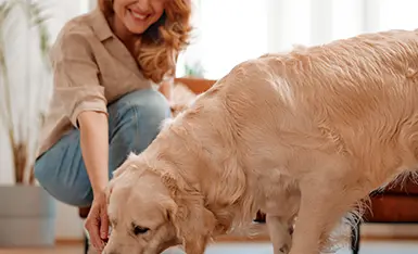 Nutrologia de Cães e Gatos Nutrologia de Cães e Gatos