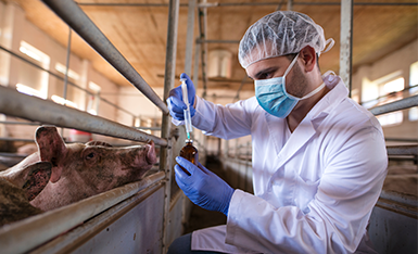 Patologia Clínica Veterinária Patologia Clínica Veterinária