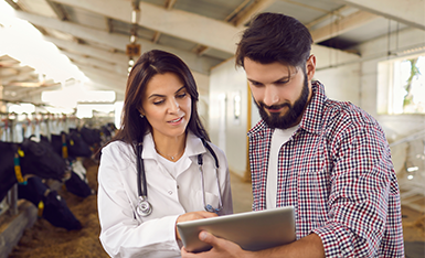 Mba em Gestão de Clínicas Veterinárias - Empreendedorismo e Ferramentas Digitais Mba em Gestão de Clínicas Veterinárias - Empreendedorismo e Ferramentas Digitais