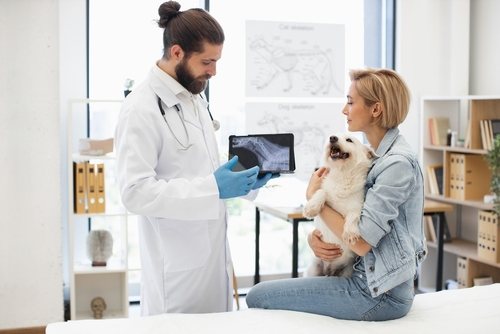 Diagnóstico Por Imagem em Pequenos Animais Diagnóstico Por Imagem em Pequenos Animais